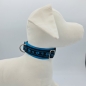 Preview: Halsband schwarz-blau mit Pfötchen, verstellbar & gepolstert